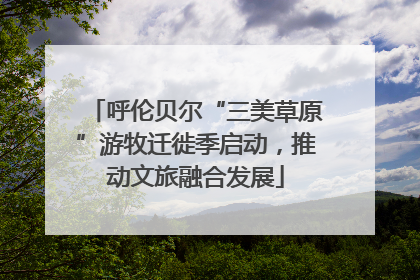 呼伦贝尔“三美草原”游牧迁徙季启动，推动文旅融合发展