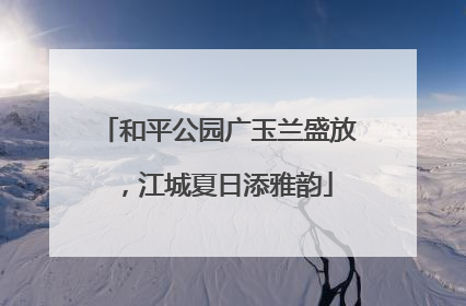 和平公园广玉兰盛放，江城夏日添雅韵
