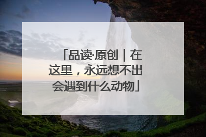 品读·原创｜在这里，永远想不出会遇到什么动物