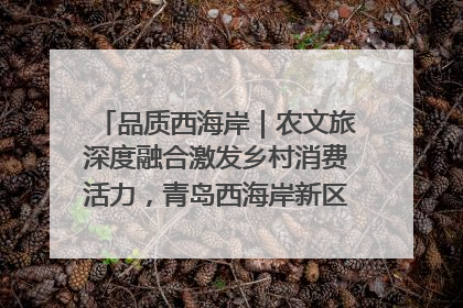 品质西海岸｜农文旅深度融合激发乡村消费活力，青岛西海岸新区的乡村振兴实践