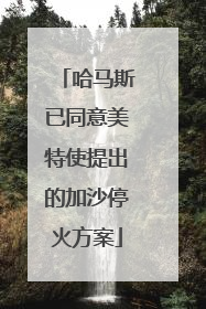 哈马斯已同意美特使提出的加沙停火方案