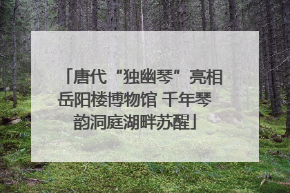 唐代“独幽琴”亮相岳阳楼博物馆 千年琴韵洞庭湖畔苏醒