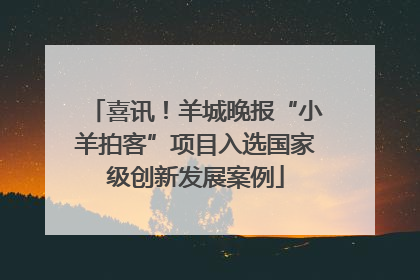 喜讯！羊城晚报“小羊拍客”项目入选国家级创新发展案例