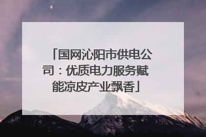国网沁阳市供电公司：优质电力服务赋能凉皮产业飘香