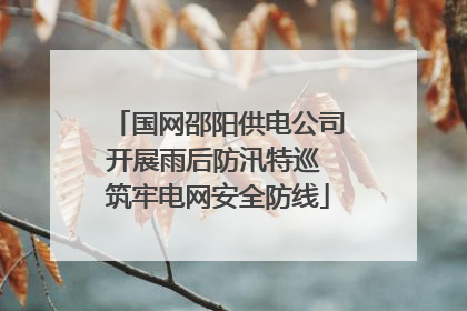 国网邵阳供电公司开展雨后防汛特巡 筑牢电网安全防线