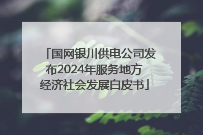 国网银川供电公司发布2024年服务地方经济社会发展白皮书