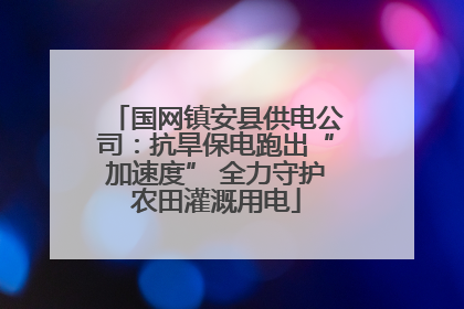 国网镇安县供电公司：抗旱保电跑出“加速度” 全力守护农田灌溉用电