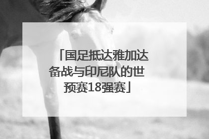 国足抵达雅加达备战与印尼队的世预赛18强赛