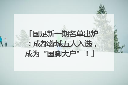 国足新一期名单出炉：成都蓉城五人入选，成为“国脚大户”！