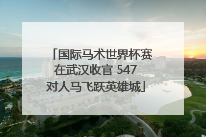 国际马术世界杯赛在武汉收官 547对人马飞跃英雄城