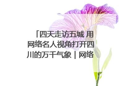 四天走访五城 用网络名人视角打开四川的万千气象｜网络名人四川行