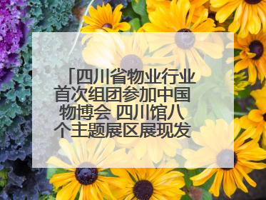 四川省物业行业首次组团参加中国物博会 四川馆八个主题展区展现发展成果