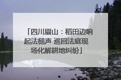 四川眉山：稻田边响起法槌声 巡回法庭现场化解耕地纠纷