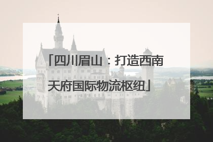 四川眉山：打造西南天府国际物流枢纽