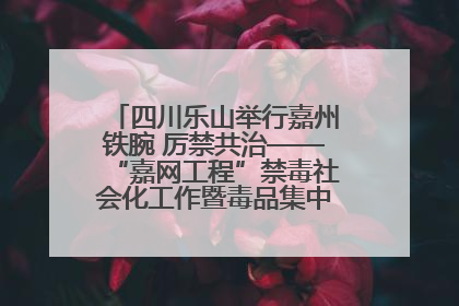 四川乐山举行嘉州铁腕 厉禁共治——“嘉网工程”禁毒社会化工作暨毒品集中销毁启动仪式