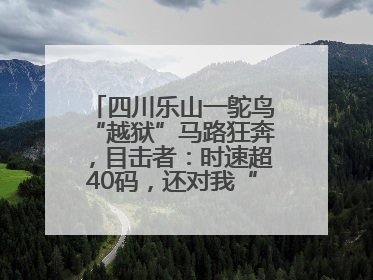 四川乐山一鸵鸟“越狱”马路狂奔，目击者：时速超40码，还对我“笑”了下