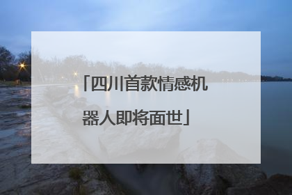 四川首款情感机器人即将面世