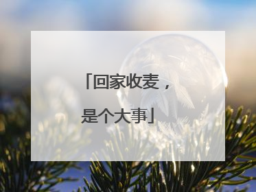 回家收麦，是个大事