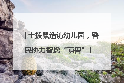 土拨鼠造访幼儿园，警民协力智擒“萌兽”