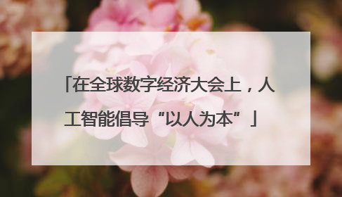 在全球数字经济大会上，人工智能倡导“以人为本”