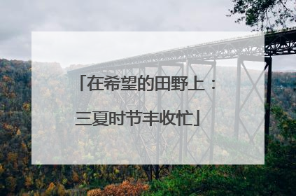 在希望的田野上：三夏时节丰收忙