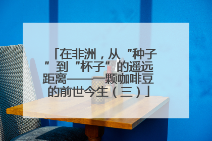 在非洲，从“种子”到“杯子”的遥远距离——一颗咖啡豆的前世今生（三）