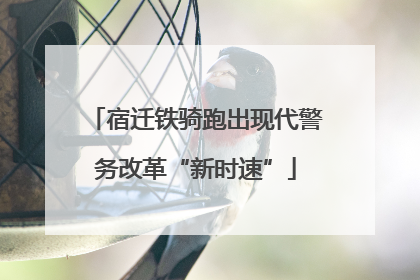 宿迁铁骑跑出现代警务改革“新时速”