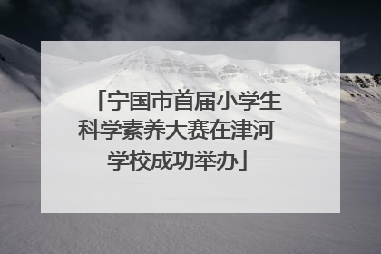 宁国市首届小学生科学素养大赛在津河学校成功举办