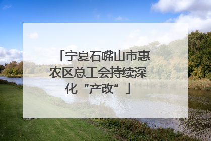宁夏石嘴山市惠农区总工会持续深化“产改”