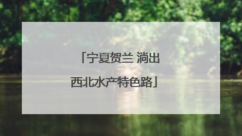 宁夏贺兰 淌出西北水产特色路