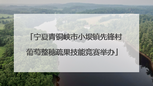 宁夏青铜峡市小坝镇先锋村葡萄整穗疏果技能竞赛举办