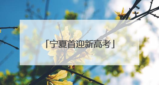宁夏首迎新高考