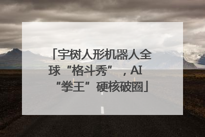 宇树人形机器人全球“格斗秀”，AI“拳王”硬核破圈