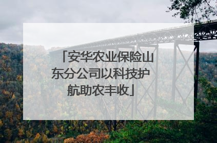 安华农业保险山东分公司以科技护航助农丰收