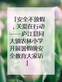 安全不放假，关爱在行动——庐江县同大镇农林小学开展暑假前安全教育大家访