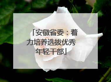 安徽省委：着力培养选拔优秀年轻干部
