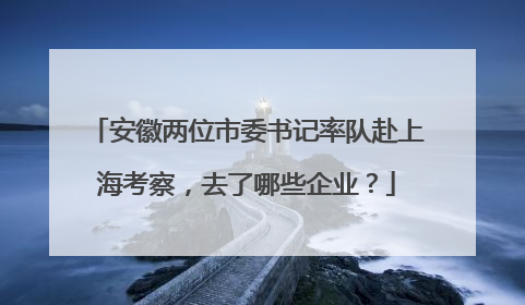 安徽两位市委书记率队赴上海考察，去了哪些企业？