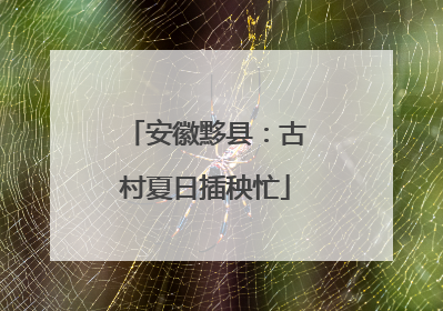 安徽黟县：古村夏日插秧忙