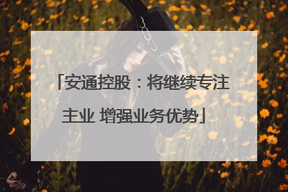 安通控股：将继续专注主业 增强业务优势