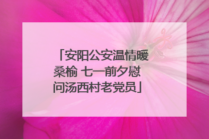 安阳公安温情暖桑榆 七一前夕慰问汤西村老党员