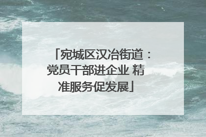 宛城区汉冶街道：党员干部进企业 精准服务促发展