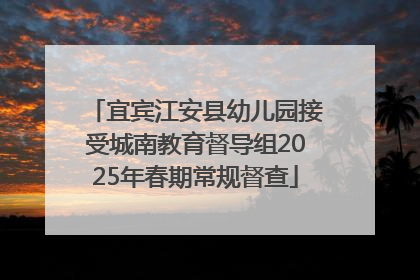 宜宾江安县幼儿园接受城南教育督导组2025年春期常规督查
