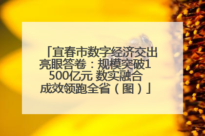 宜春市数字经济交出亮眼答卷：规模突破1500亿元 数实融合成效领跑全省（图）