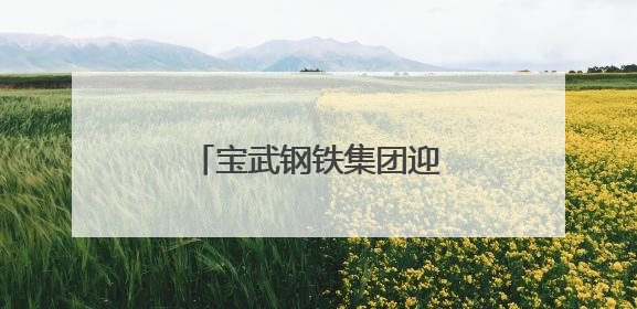 宝武钢铁集团迎来新任总会计师
