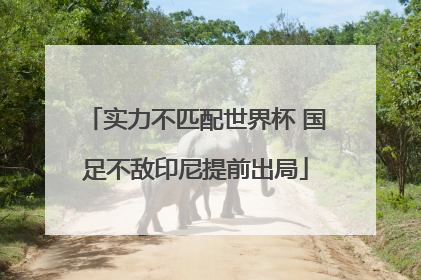 实力不匹配世界杯 国足不敌印尼提前出局