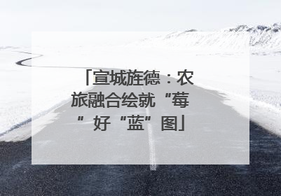 宣城旌德：农旅融合绘就“莓”好“蓝”图