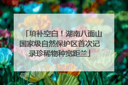 填补空白！湖南八面山国家级自然保护区首次记录珍稀物种宽距兰