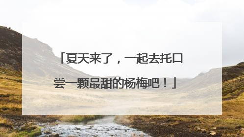 夏天来了，一起去托口尝一颗最甜的杨梅吧！