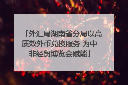 外汇局湖南省分局以高质效外币兑换服务 为中非经贸博览会赋能