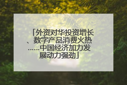 外资对华投资增长、数字产品消费火热……中国经济加力发展动力强劲